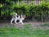 2010_05_24 471.jpg